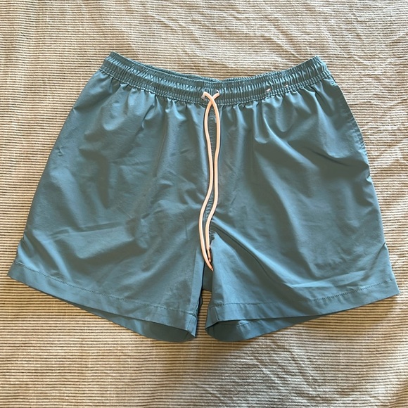 Men’s Chubbies Size L - Picture 1 of 4